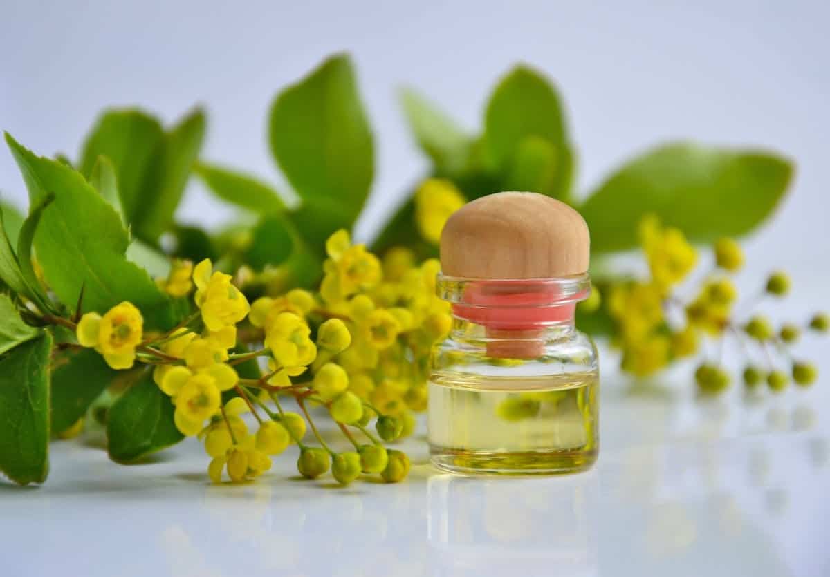 beauté bio
