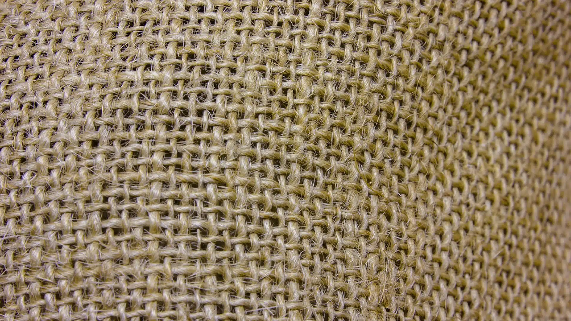 Guide des tissus éco-responsables : Focus sur la toile de jute